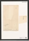 Pleurosigma angulatum quadratum (Queck.) W.Sm. (de-Toni-Nr.: Genus 13, Species 1001) Zeichnungen Sammlung Grunow (NHMW-BOT-W0368867)